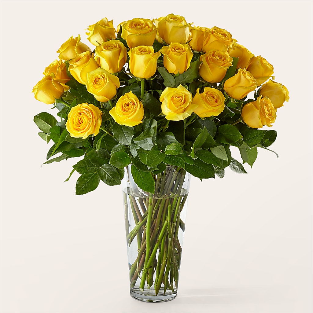 Long Stem Yellow Rose Bouquet – Friendly Flower Shop, San Angelo TX