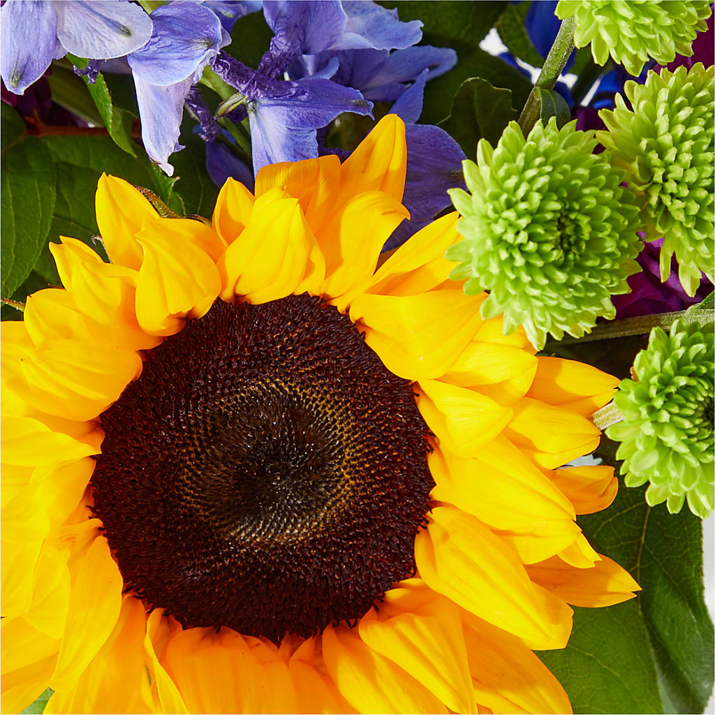Catching Rays Bouquet – Friendly Flower Shop, San Angelo TX