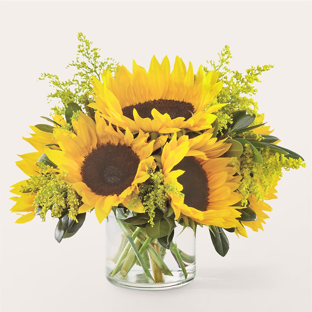 Beaming Sunflower Bouquet – Friendly Flower Shop, San Angelo TX