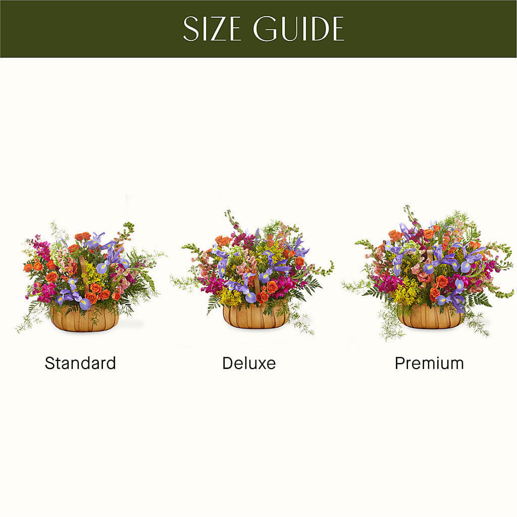 Garden of Life Basket – Friendly Flower Shop, San Angelo TX