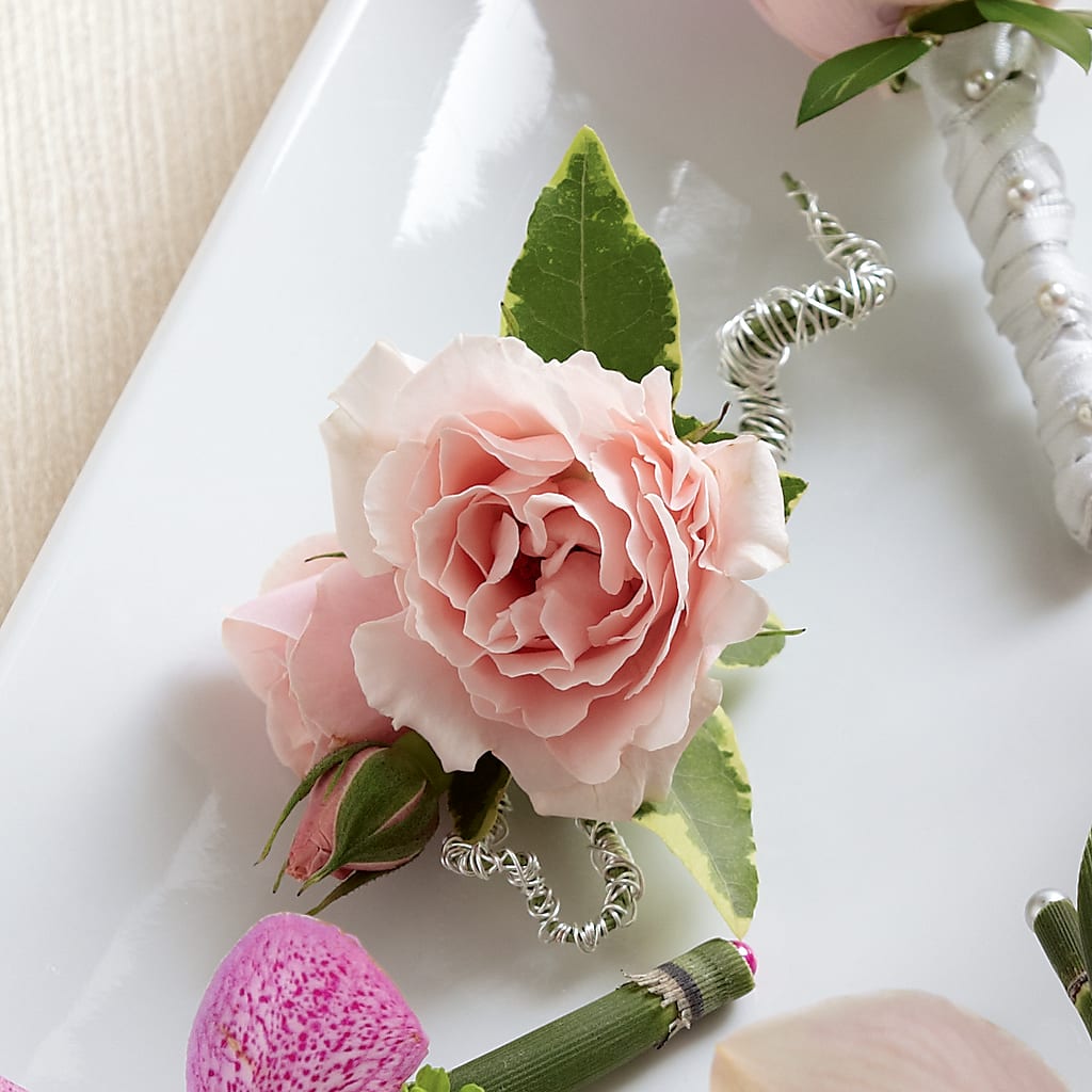 Pink Spray Rose Boutonniere – Friendly Flower Shop, San Angelo TX