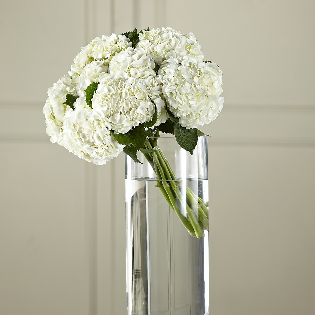 White Hydrangea Hand-Tied Bouquet – Friendly Flower Shop, San Angelo TX