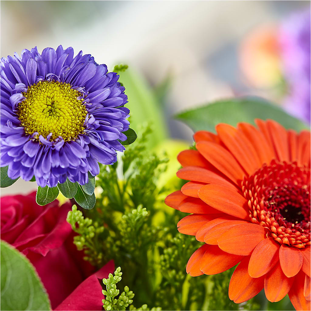 Bold & Bright – A Florist Original –  Friendly Flower Shop, San Angelo TX
