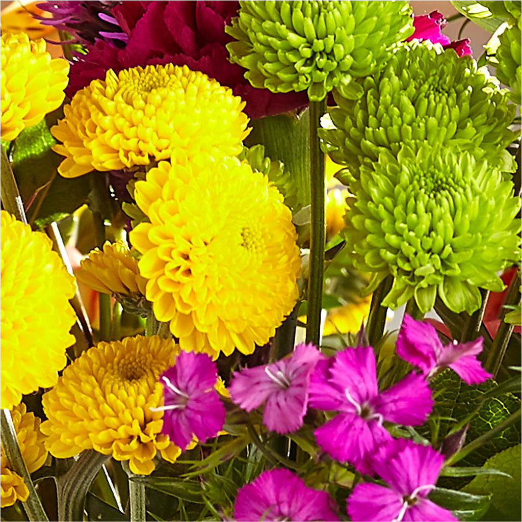 Bold & Bright – A Florist Original –  Friendly Flower Shop, San Angelo TX