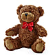 Adorable Plush Bear –  Friendly Flower Shop, San Angelo TX