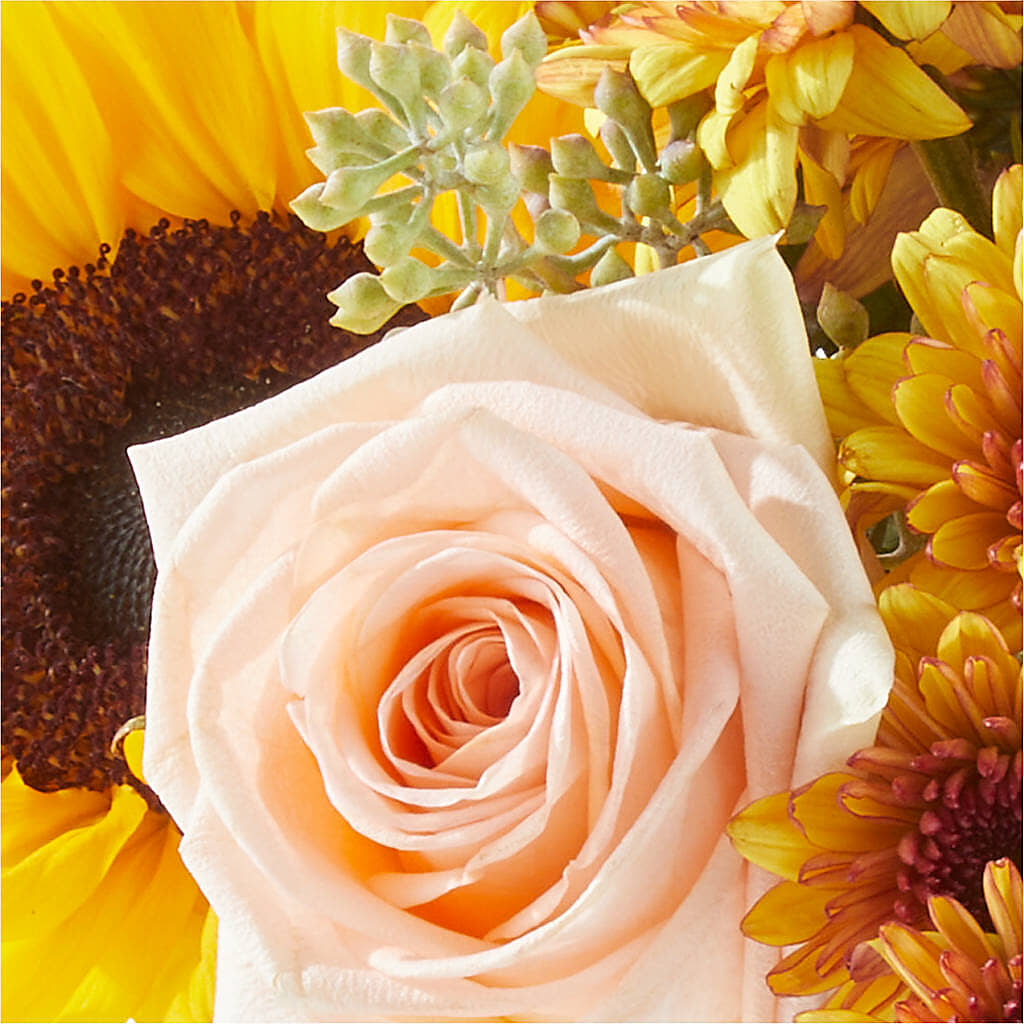 Pumpkin to Talk About Bouquet –  Friendly Flower Shop, San Angelo TX