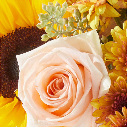 Pumpkin to Talk About Bouquet –  Friendly Flower Shop, San Angelo TX