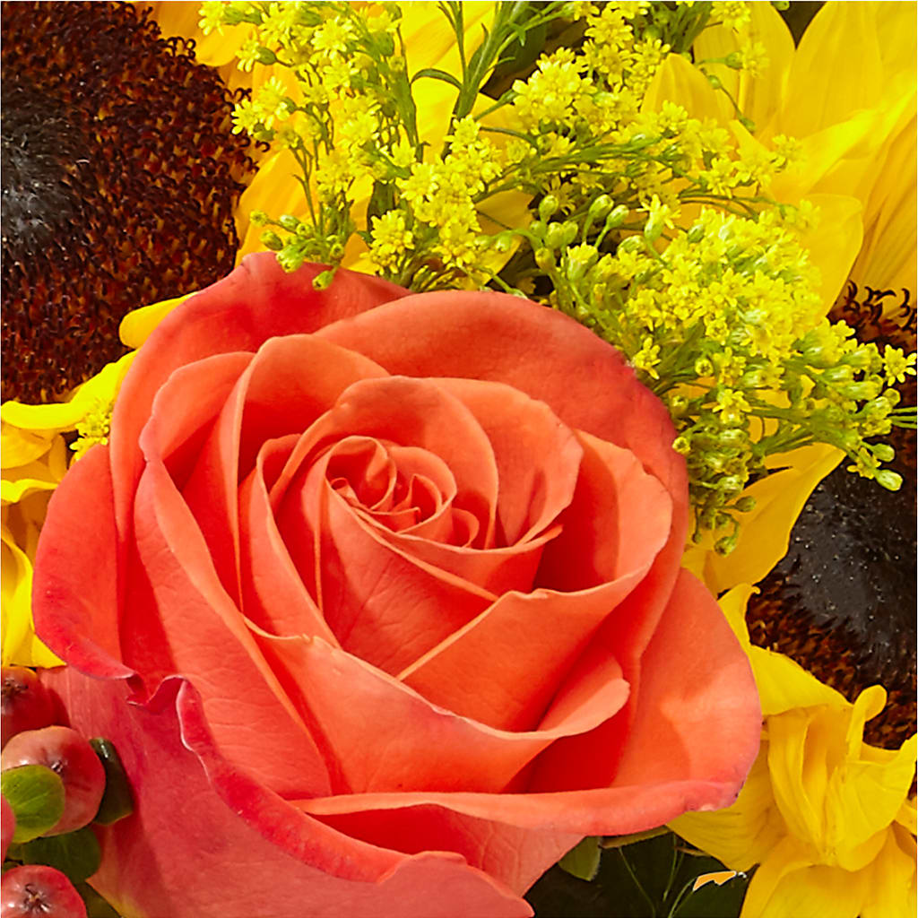 Pick of the Patch Pumpkin Bouquet –  Friendly Flower Shop, San Angelo TX