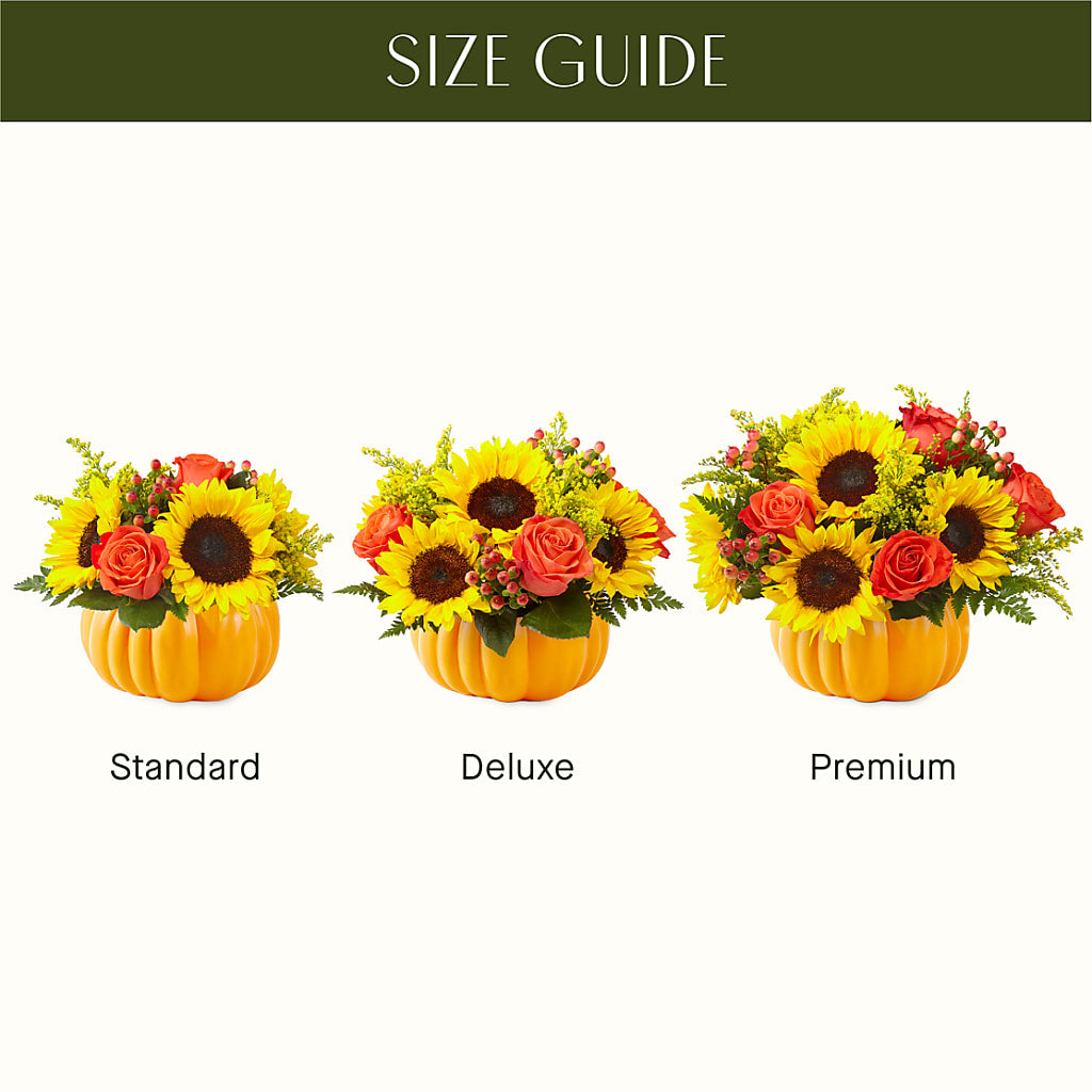 Pick of the Patch Pumpkin Bouquet –  Friendly Flower Shop, San Angelo TX