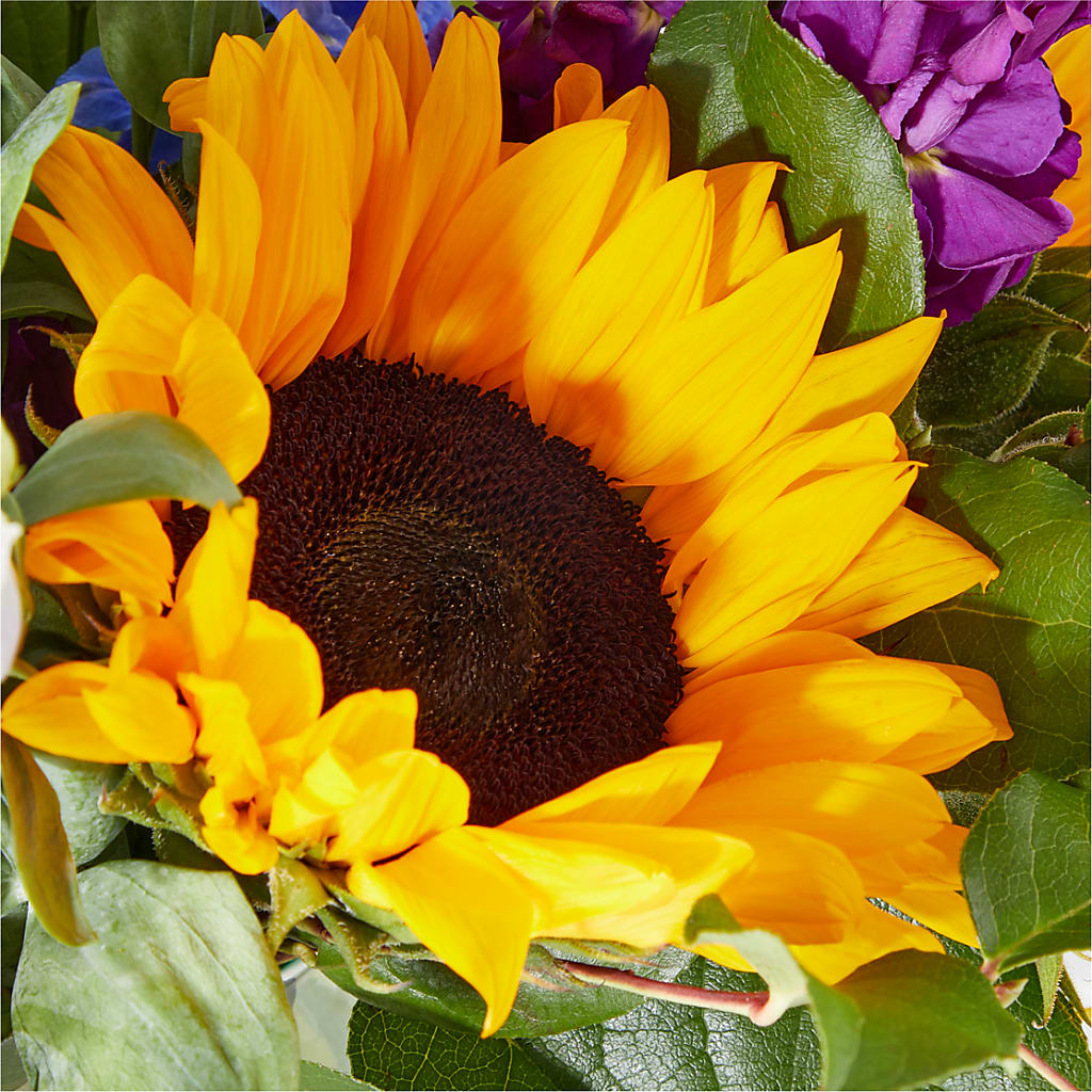Catching Rays Bouquet –  Friendly Flower Shop, San Angelo TX
