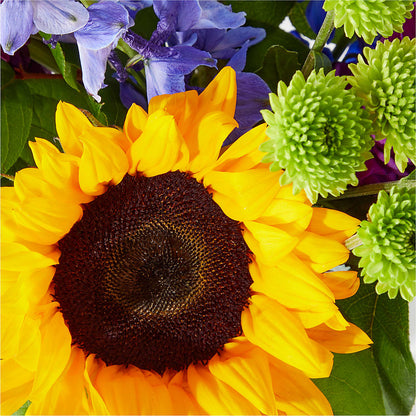 Catching Rays Bouquet –  Friendly Flower Shop, San Angelo TX
