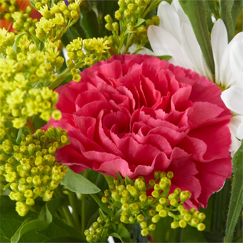 Oopsie Daisy Bouquet –  Friendly Flower Shop, San Angelo TX