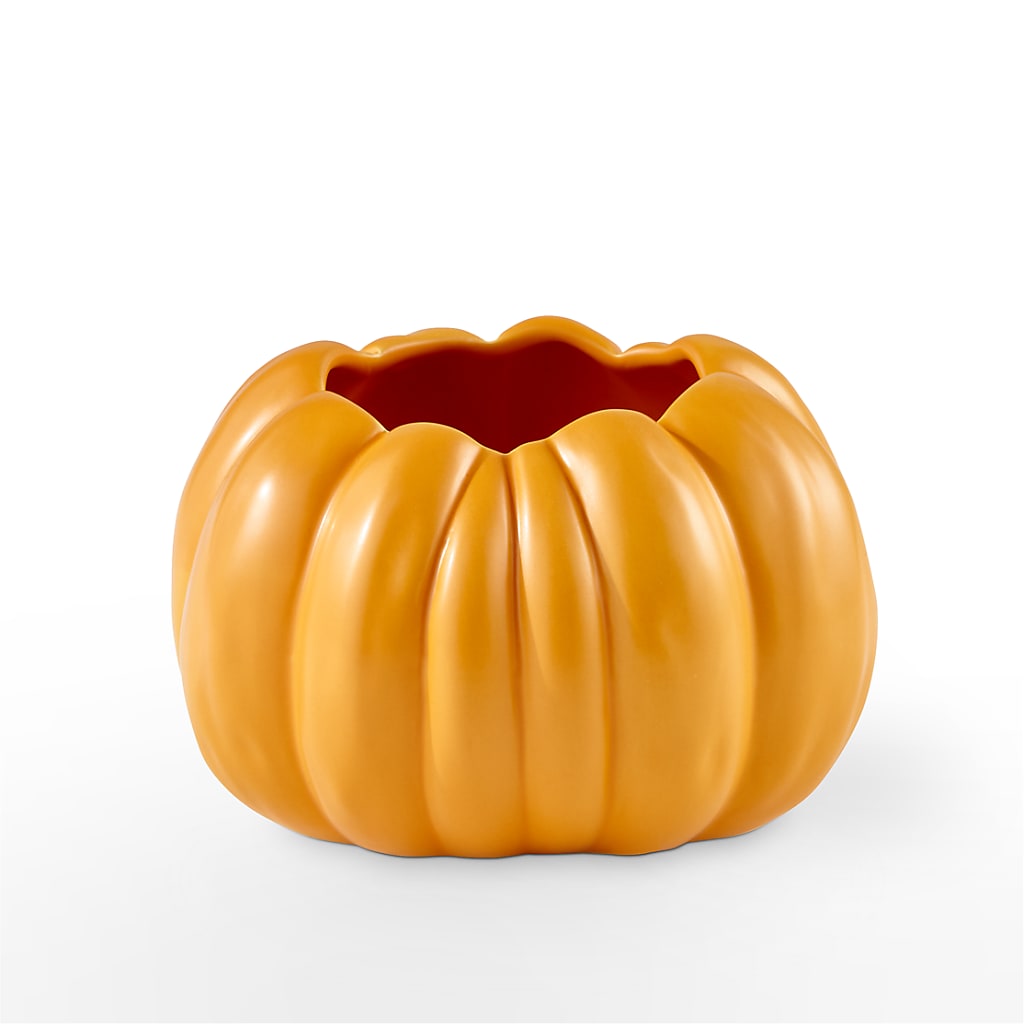 Pick of the Patch Pumpkin Bouquet –  Friendly Flower Shop, San Angelo TX