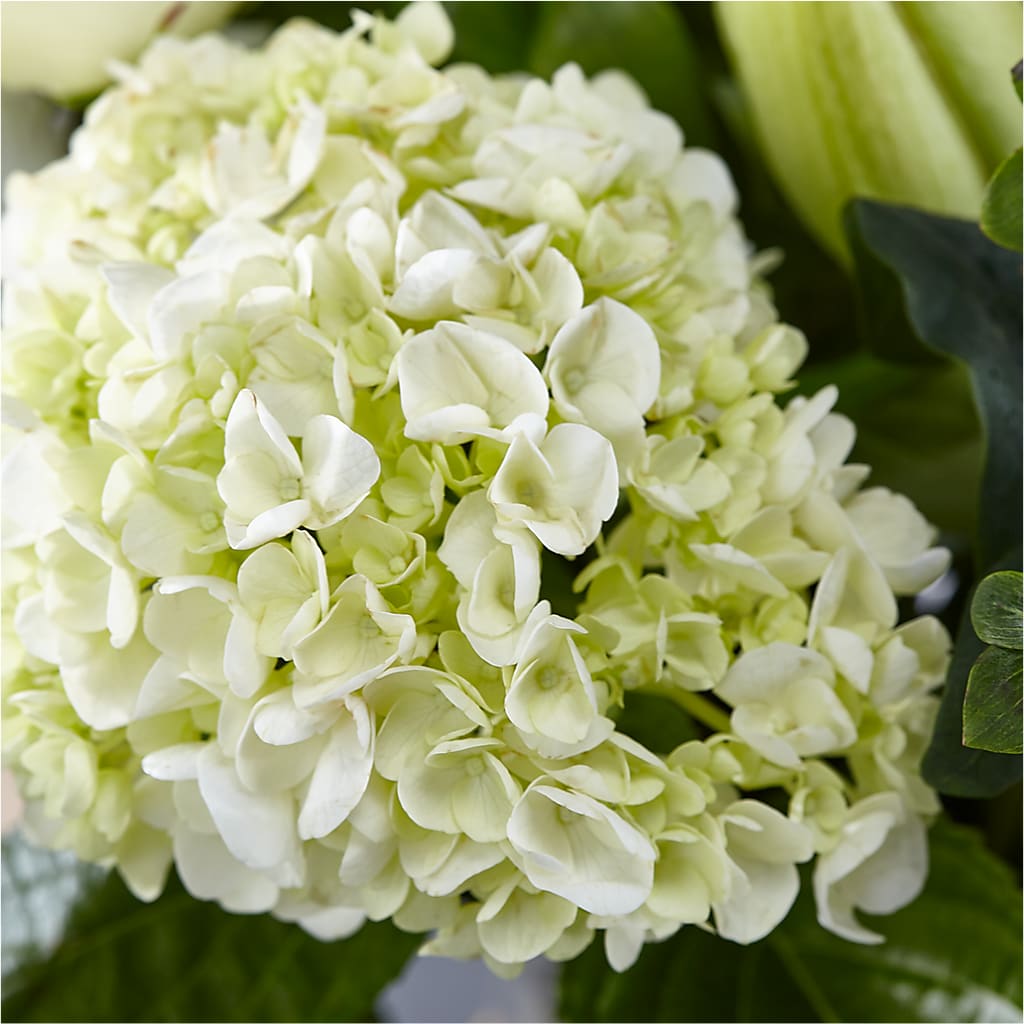 Classic Ivory – A Florist Original –  Friendly Flower Shop, San Angelo TX