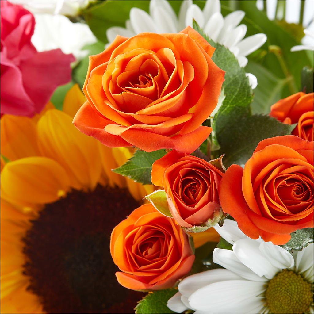 Sun-drenched Blooms Bouquet –  Friendly Flower Shop, San Angelo TX