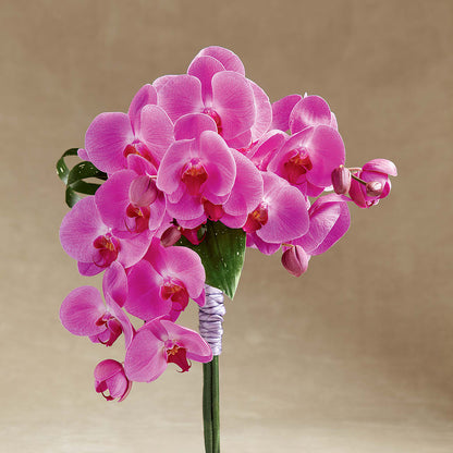 Glorious Bouquet –  Friendly Flower Shop, San Angelo TX
