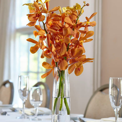 Orange Mokara Bud Vase –  Friendly Flower Shop, San Angelo TX