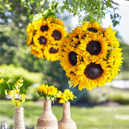 Sublime Garden Hanging Arrangement –  Friendly Flower Shop, San Angelo TX