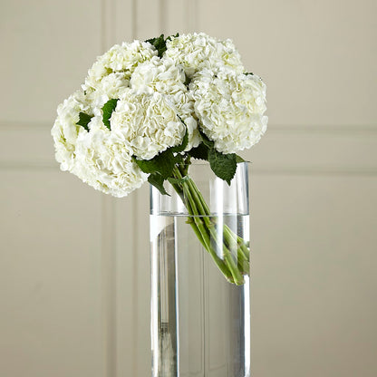 White Hydrangea Hand-Tied Bouquet –  Friendly Flower Shop, San Angelo TX