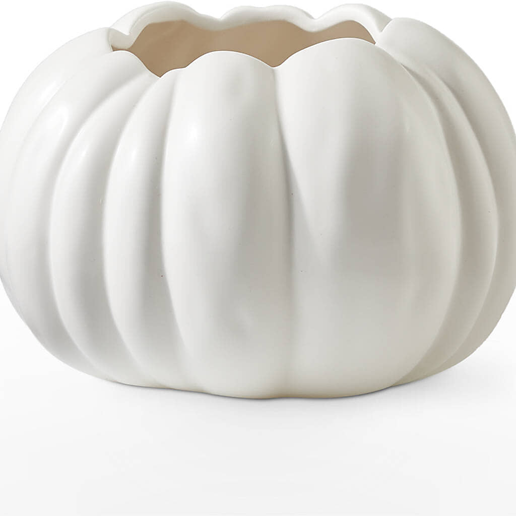 Pumpkin to Talk About Bouquet –  Friendly Flower Shop, San Angelo TX